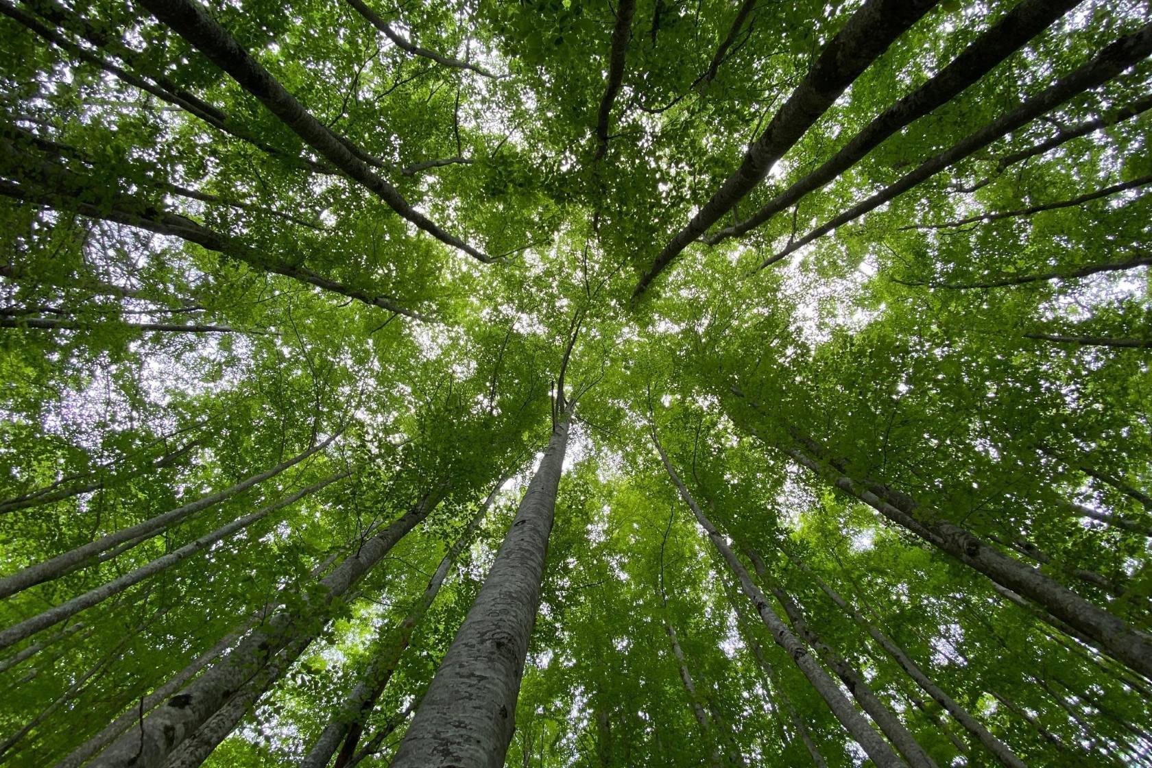 World Biodiversity Forum 2026