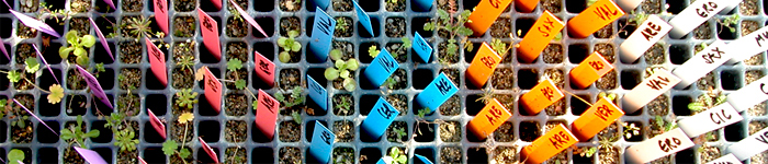 Plant Community Ecology